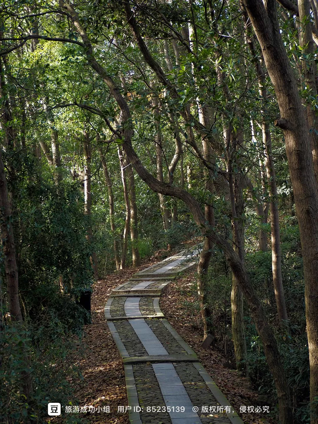 ㊙️旅游推荐杭州穷游暴走四天四晚（附路线）