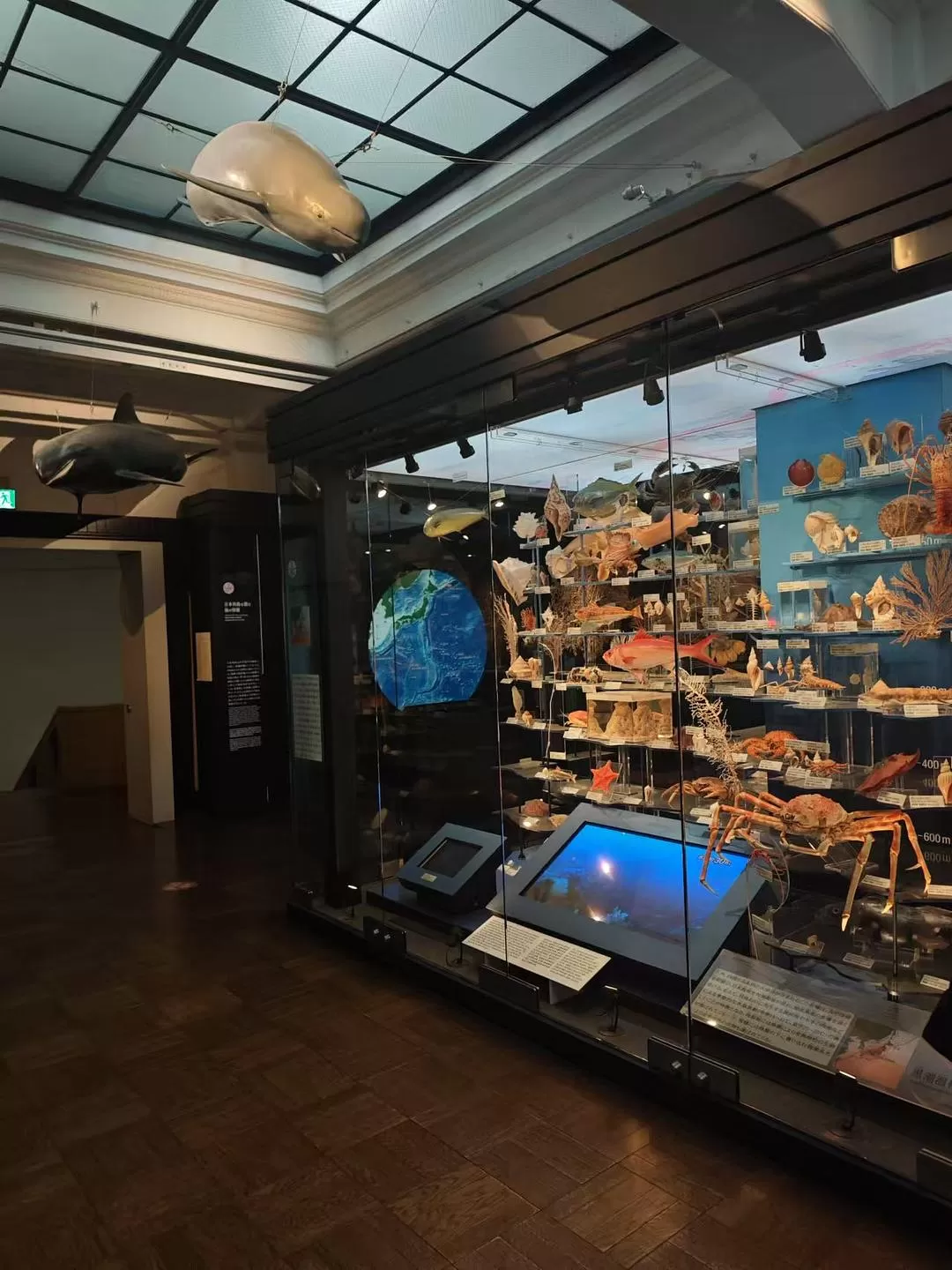 旅游推荐两人游💞：12.17-30日本14日(一)东京5日