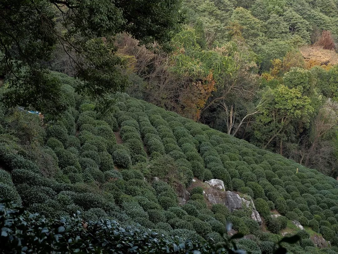 ㊙️旅游推荐杭州穷游暴走四天四晚（附路线）