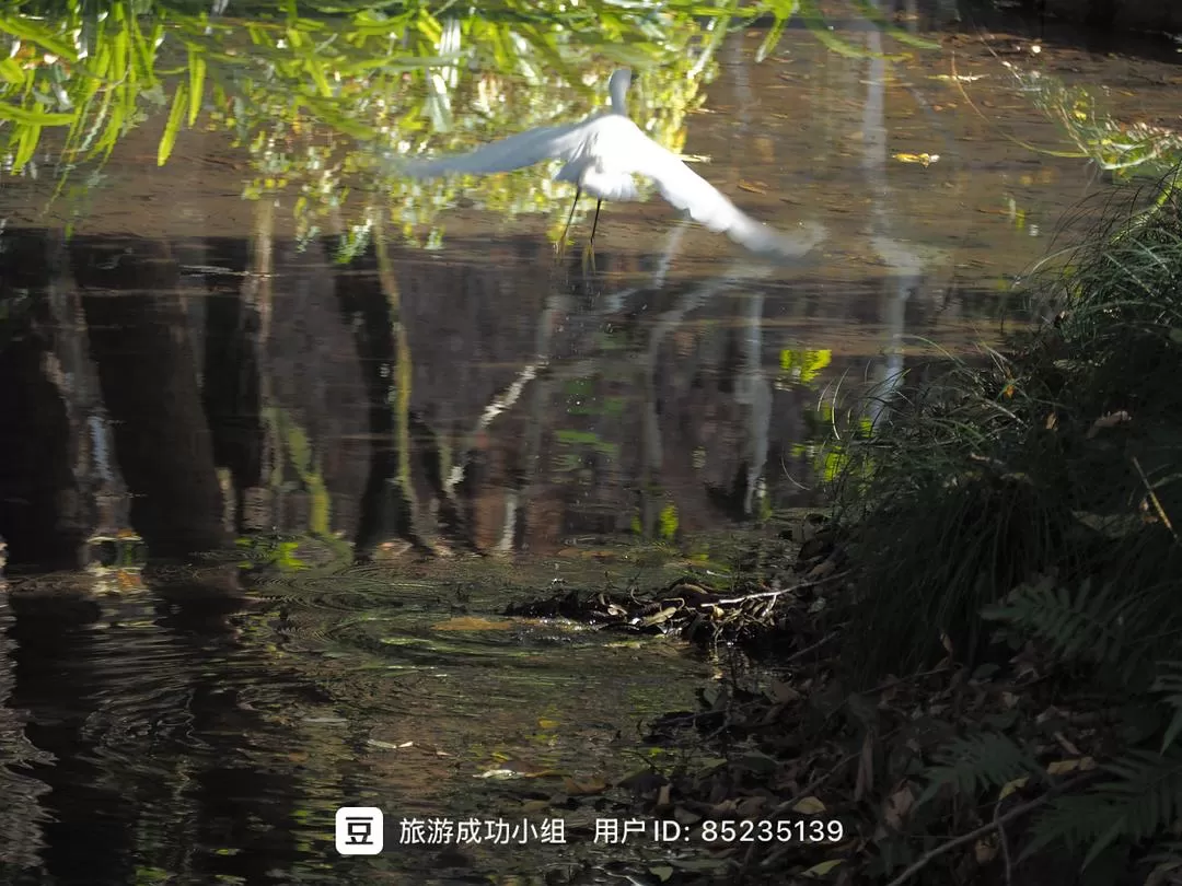 ㊙️旅游推荐杭州穷游暴走四天四晚（附路线）