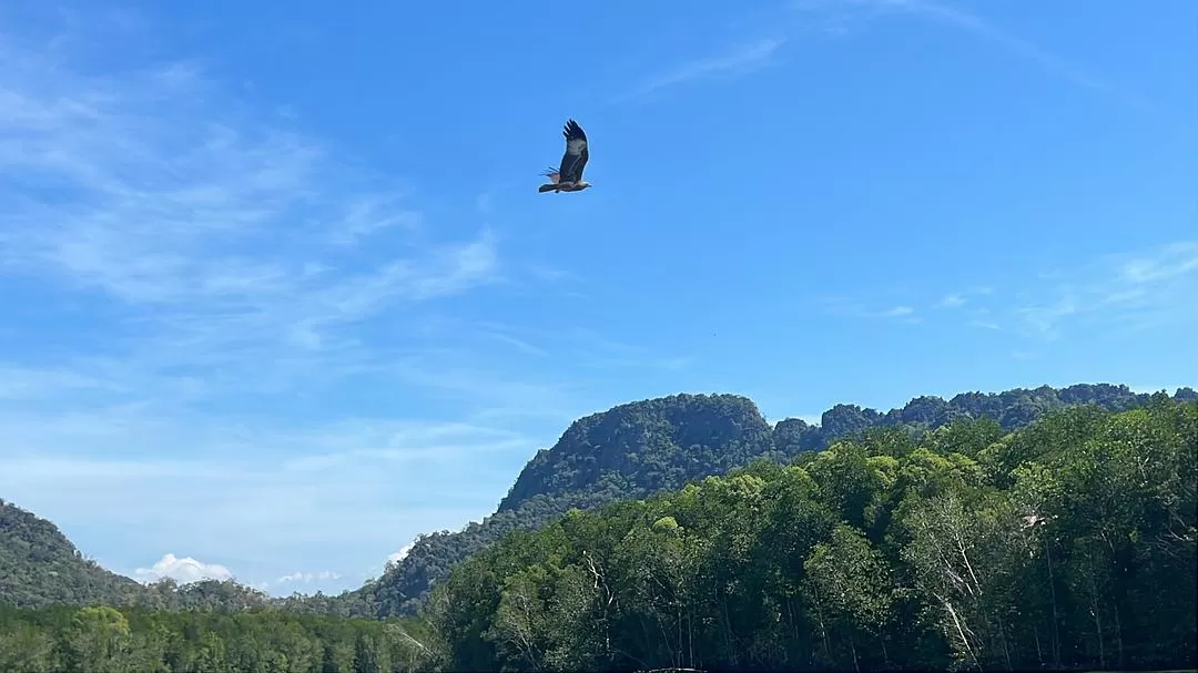 旅游推荐一人游：马来西亚吉隆坡+兰卡威跨年solo 🈲trip