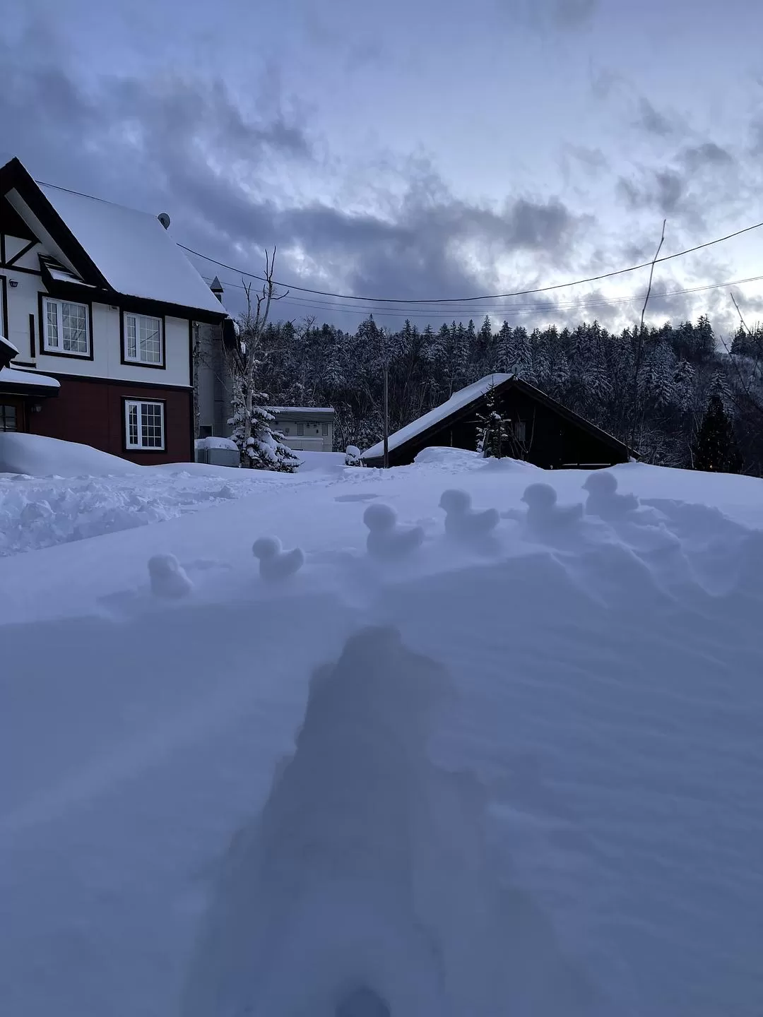 旅游推💢荐国外游：北海道一周之旅