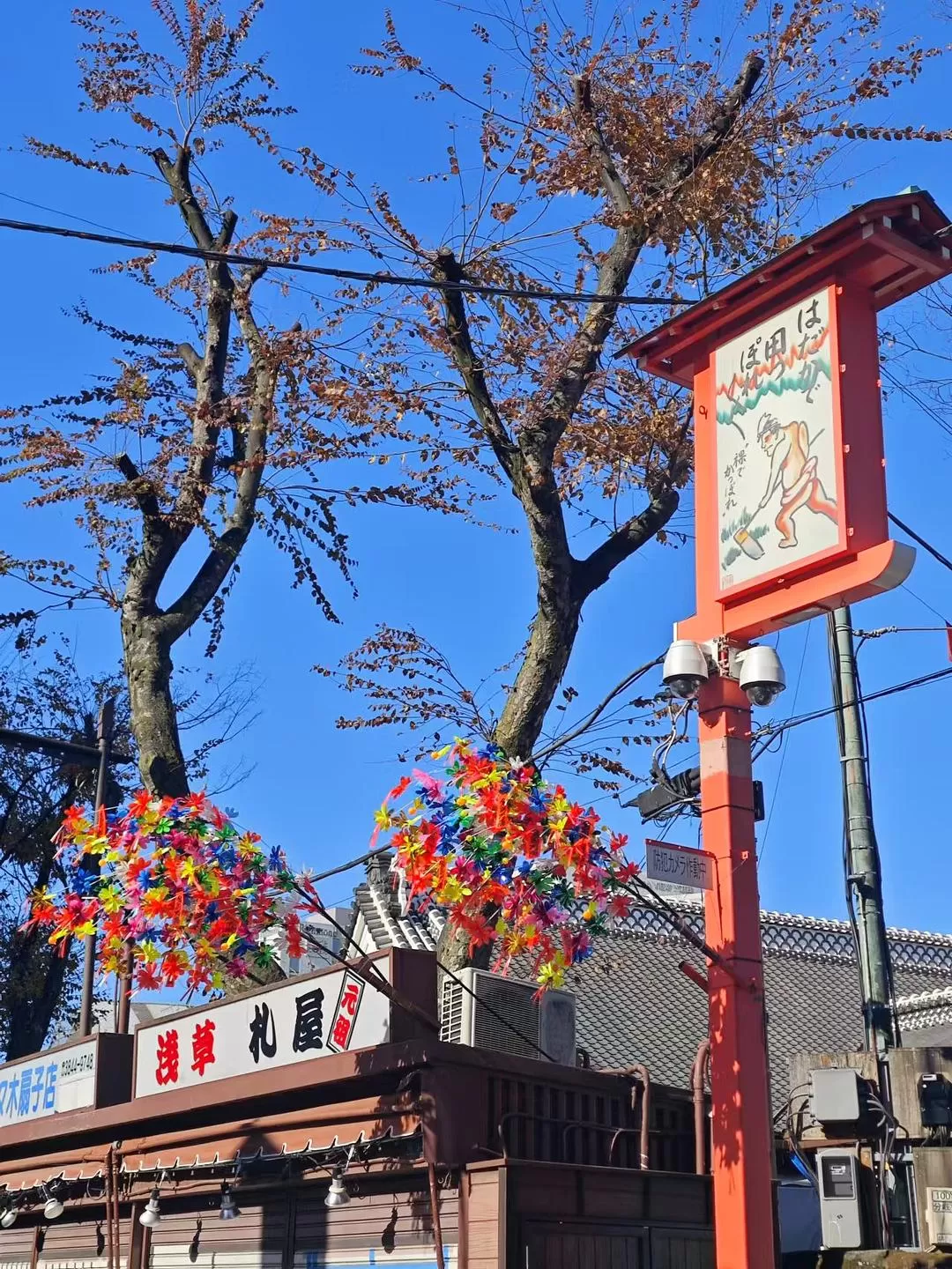 旅游推荐两人游💞：12.17-30日本14日(一)东京5日