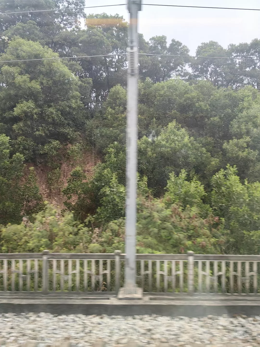 旅游推荐一人游：新年演唱会8天7晚广东行（🤬南京惠州佛山顺德）