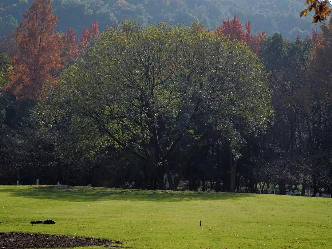 ㊙️旅游推荐杭州穷游暴走四天四晚（附路线）