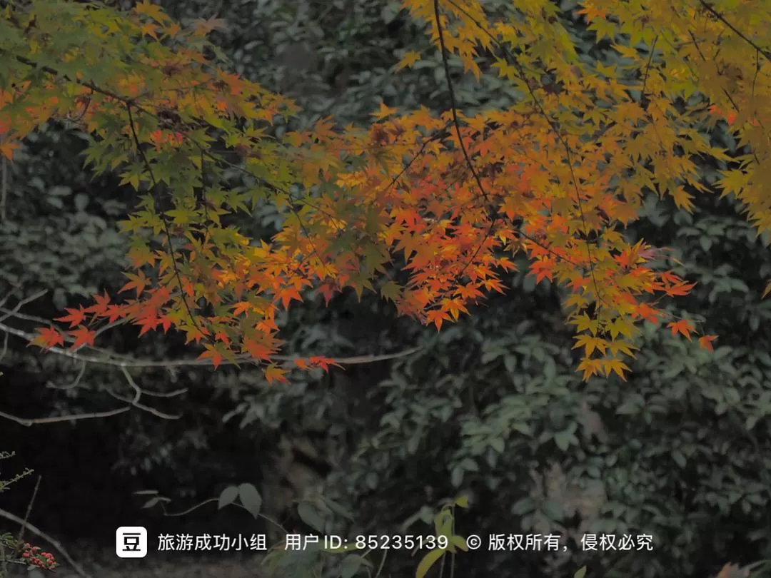 ㊙️旅游推荐杭州穷游暴走四天四晚（附路线）