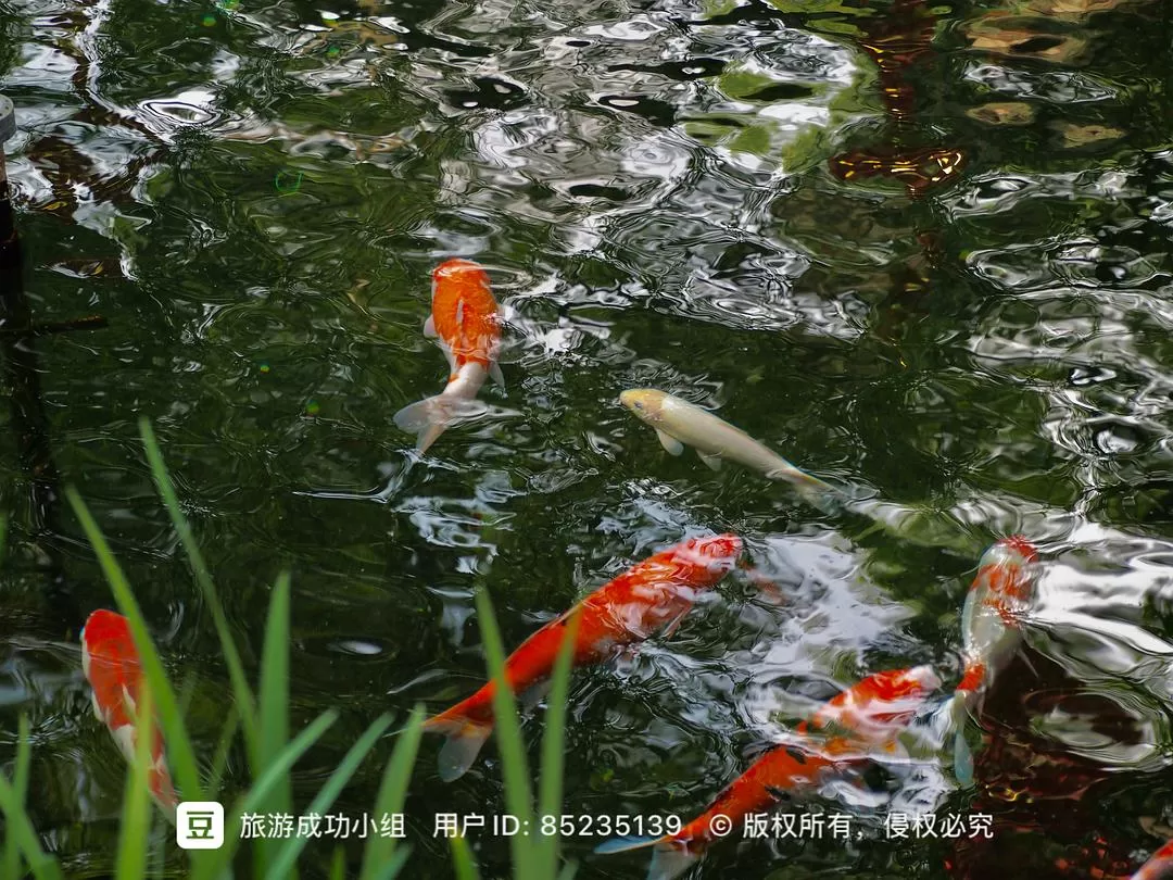 ㊙️旅游推荐杭州穷游暴走四天四晚（附路线）