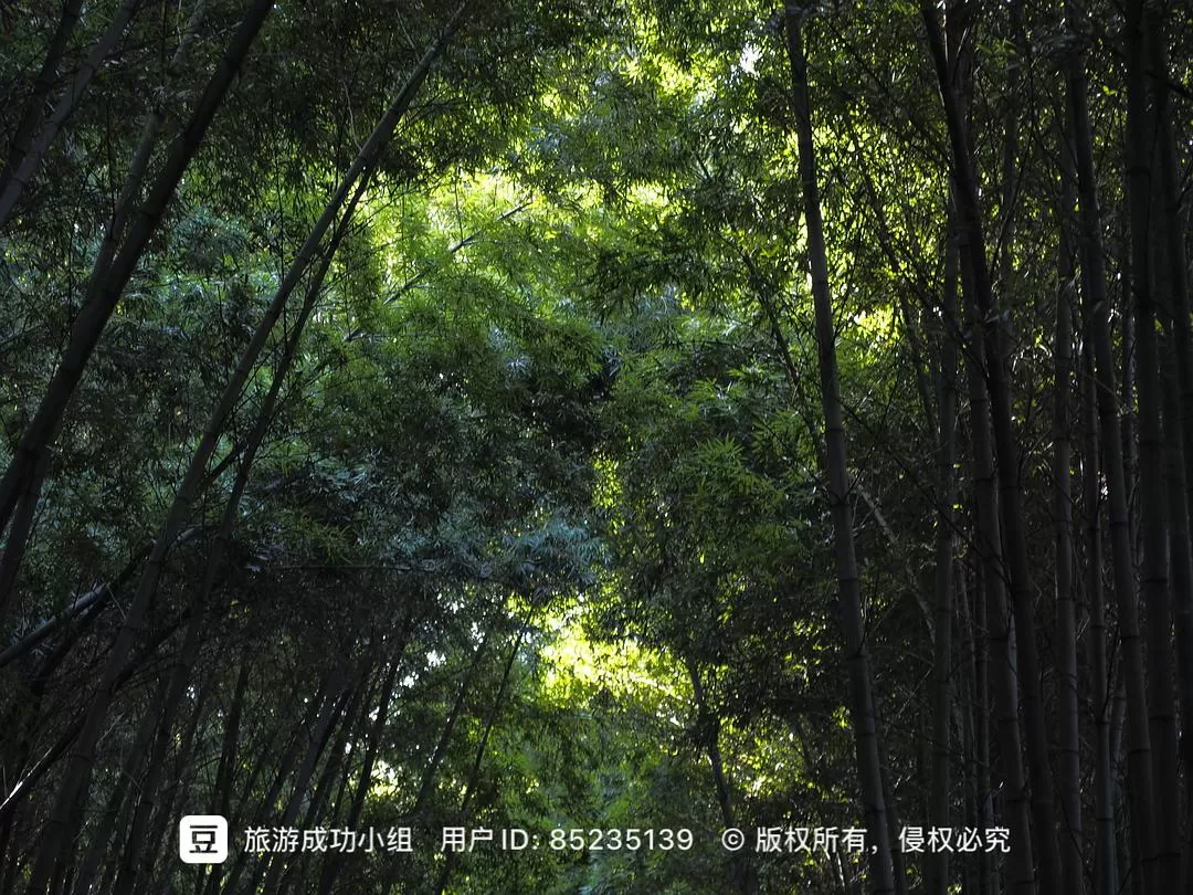 ㊙️旅游推荐杭州穷游暴走四天四晚（附路线）