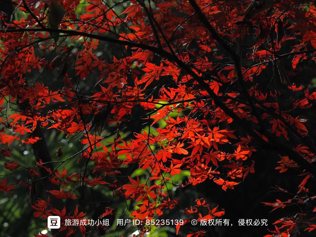 ㊙️旅游推荐杭州穷游暴走四天四晚（附路线）