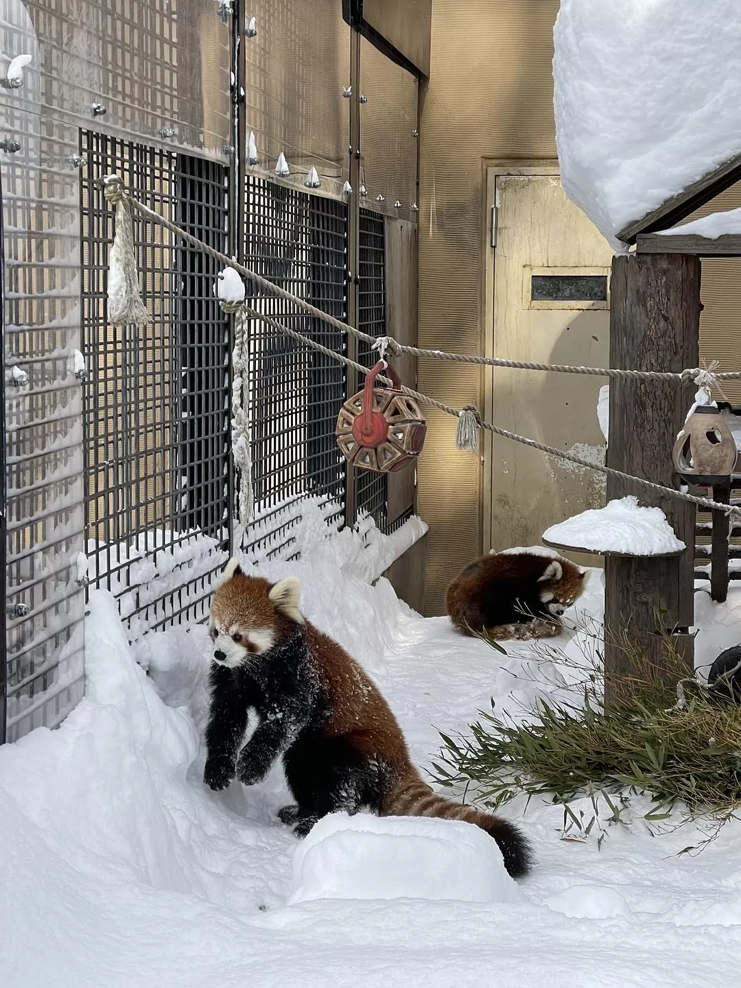 旅游推💢荐国外游：北海道一周之旅