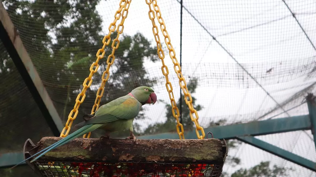 旅游推荐一人游：马来西亚吉隆坡+兰卡威跨年solo 🈲trip