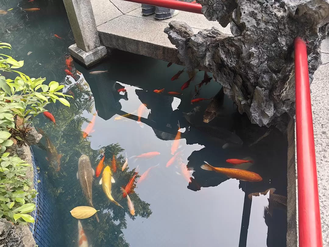 旅游推荐一人游：新年演唱会8天7晚广东行（🤬南京惠州佛山顺德）