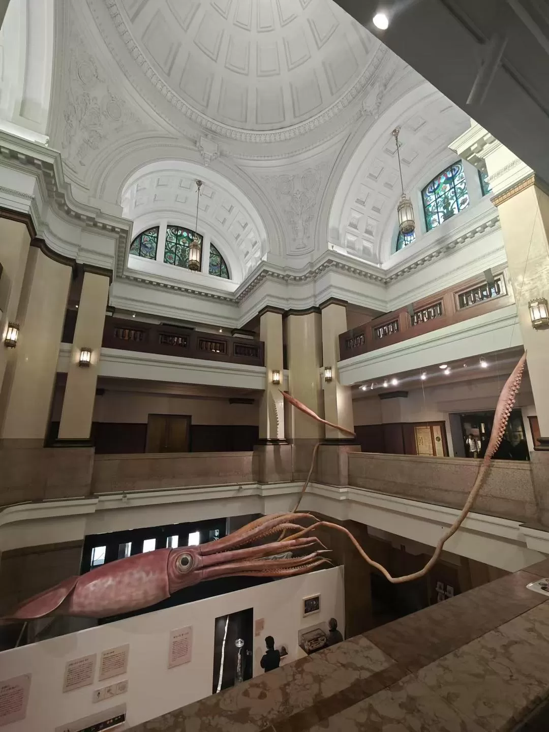 旅游推荐两人游💞：12.17-30日本14日(一)东京5日