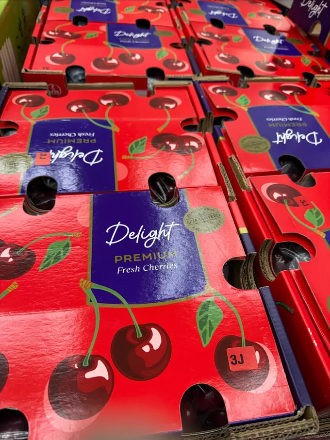 ✨京觅车厘子樱桃怎么样？