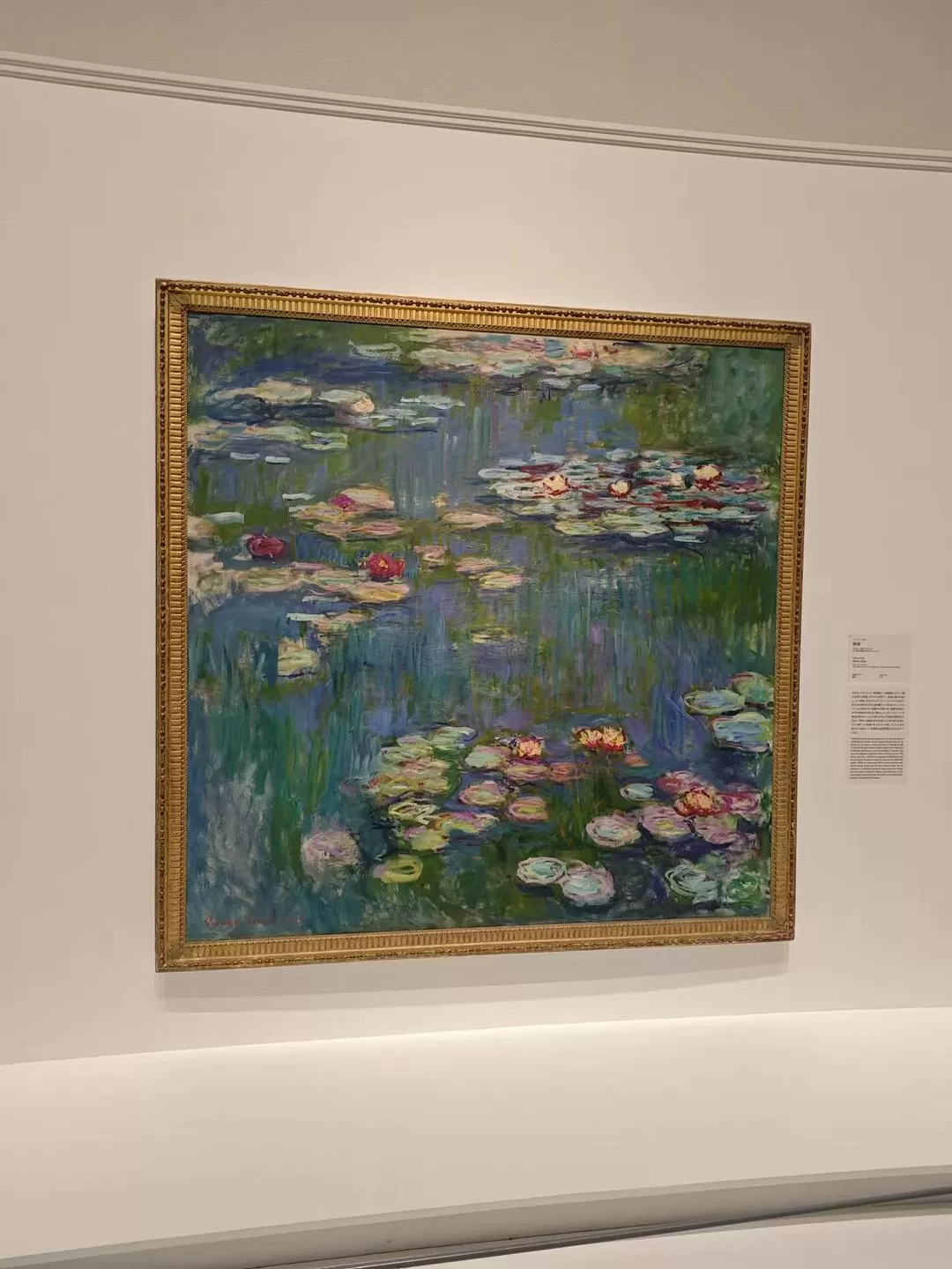 旅游推荐两人游💞：12.17-30日本14日(一)东京5日