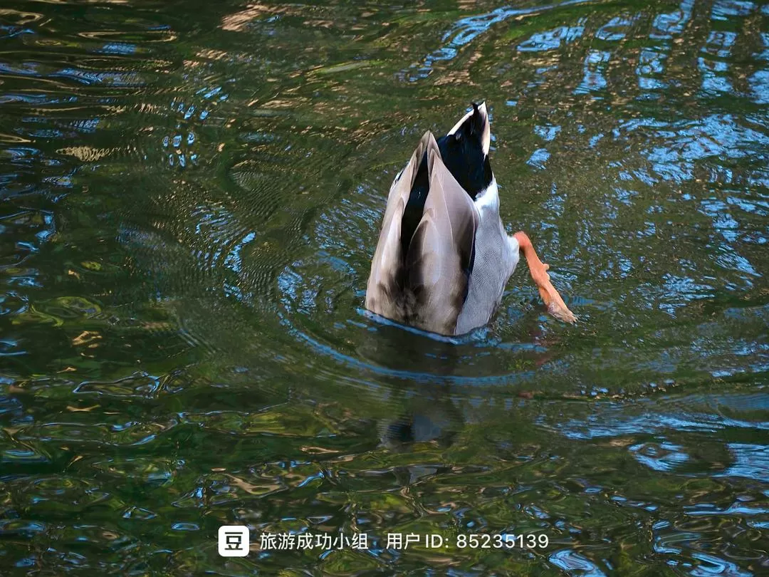 ㊙️旅游推荐杭州穷游暴走四天四晚（附路线）