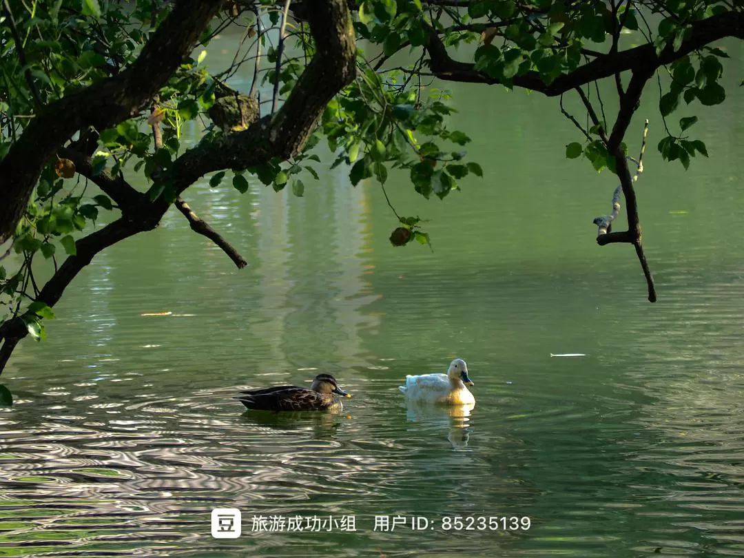 ㊙️旅游推荐杭州穷游暴走四天四晚（附路线）