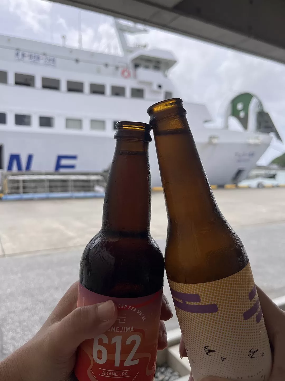 旅游推荐🏆国外游:该溜子型文青的冲绳+东京恋恋不舍十五天(还没写完)