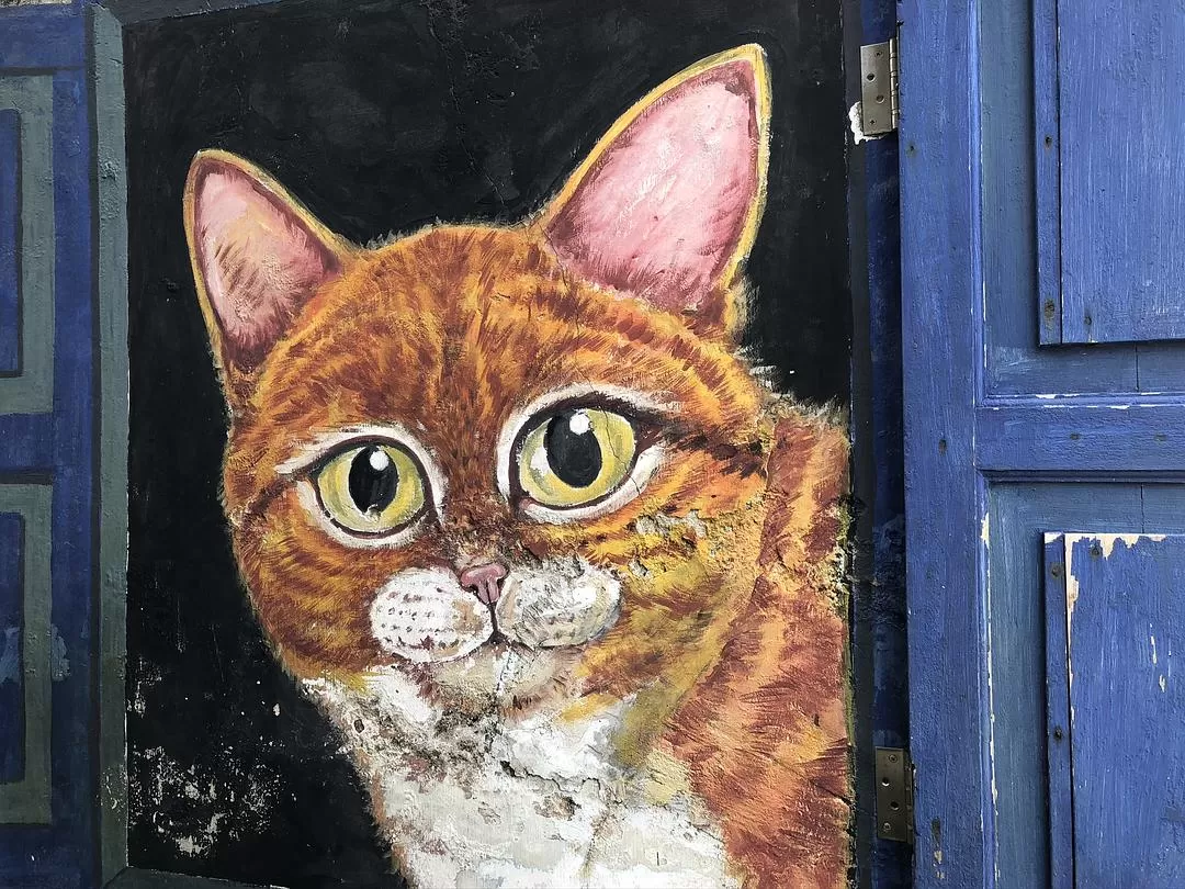 旅游推荐陈年旧事，我的东南亚大杂烩🉑（包括一些安全建议）