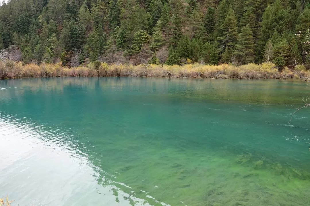 旅游推荐两人游：🤬绝美九寨沟