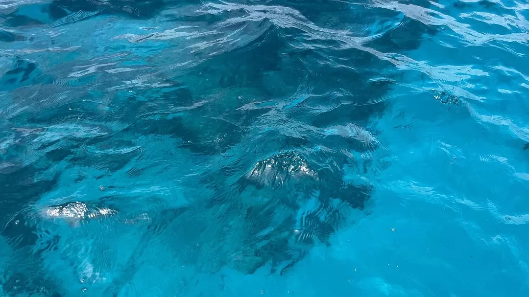 旅游推荐🏆国外游:该溜子型文青的冲绳+东京恋恋不舍十五天(还没写完)