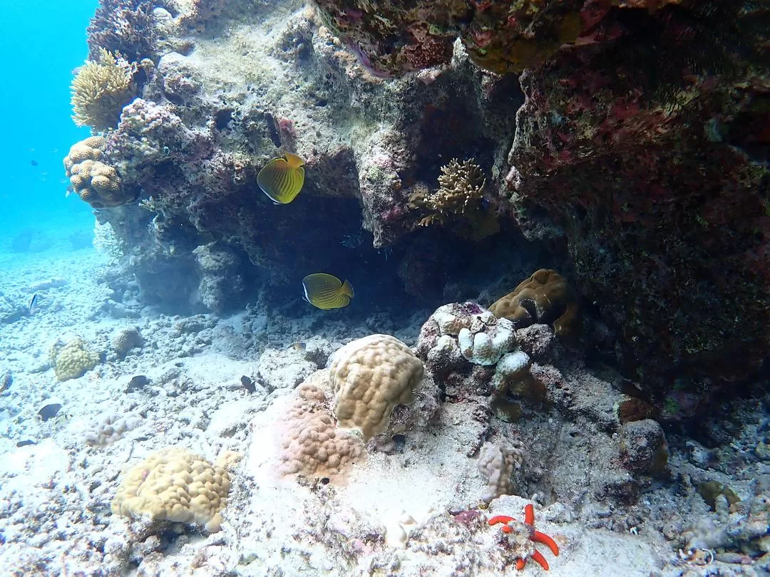 旅游推荐🏆国外游:该溜子型文青的冲绳+东京恋恋不舍十五天(还没写完)