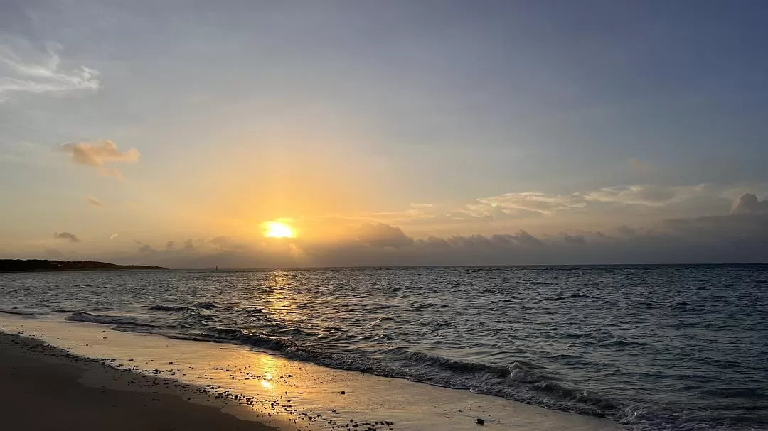 旅游推荐🏆国外游：该溜子型文青的冲绳+东京恋恋不舍十五天（还没写完）