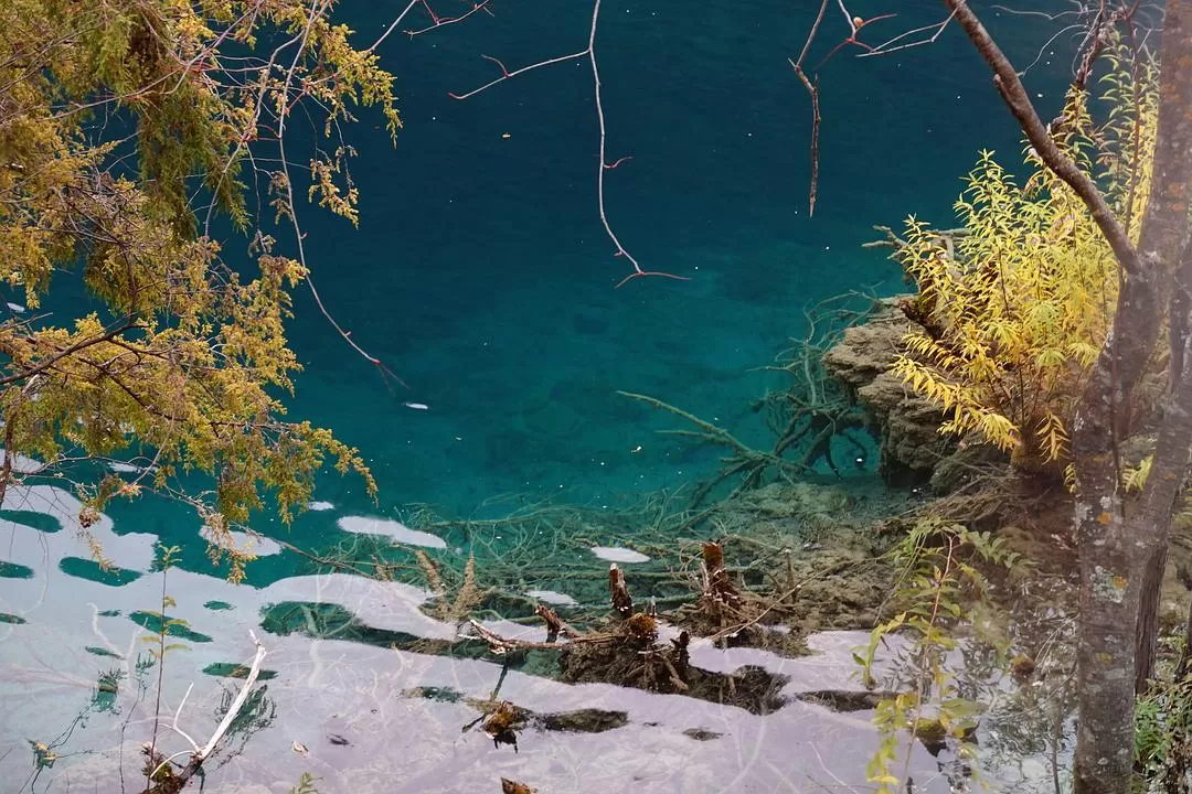 旅游推荐两人游：🤬绝美九寨沟