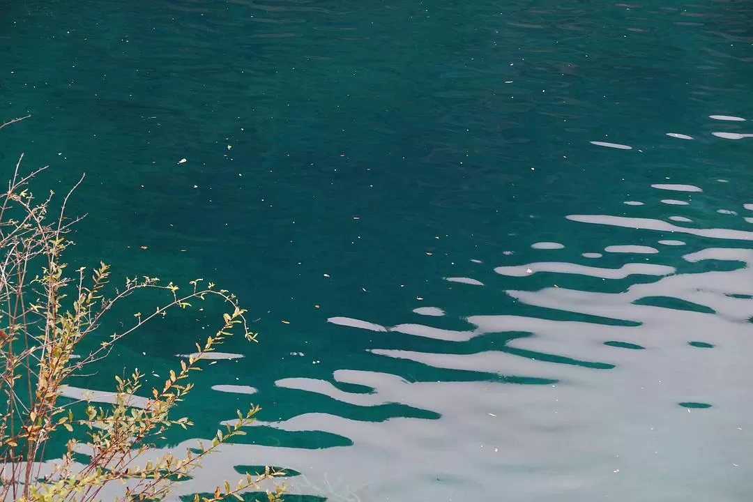 旅游推荐两人游：🤬绝美九寨沟