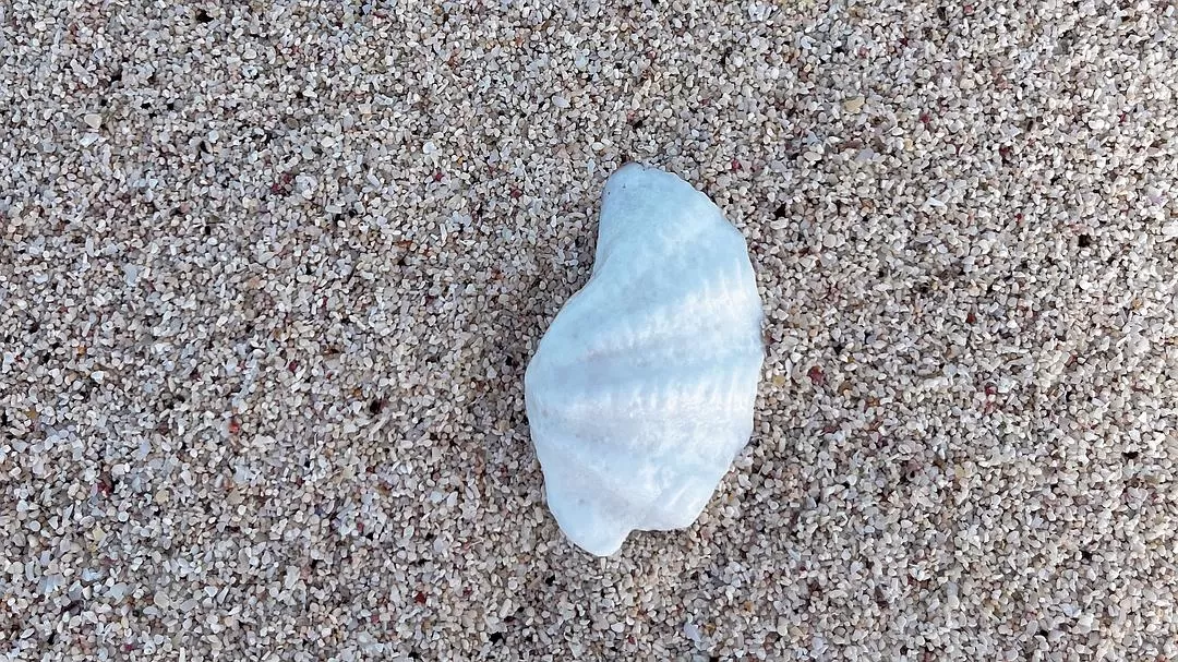 旅游推荐🏆国外游:该溜子型文青的冲绳+东京恋恋不舍十五天(还没写完)