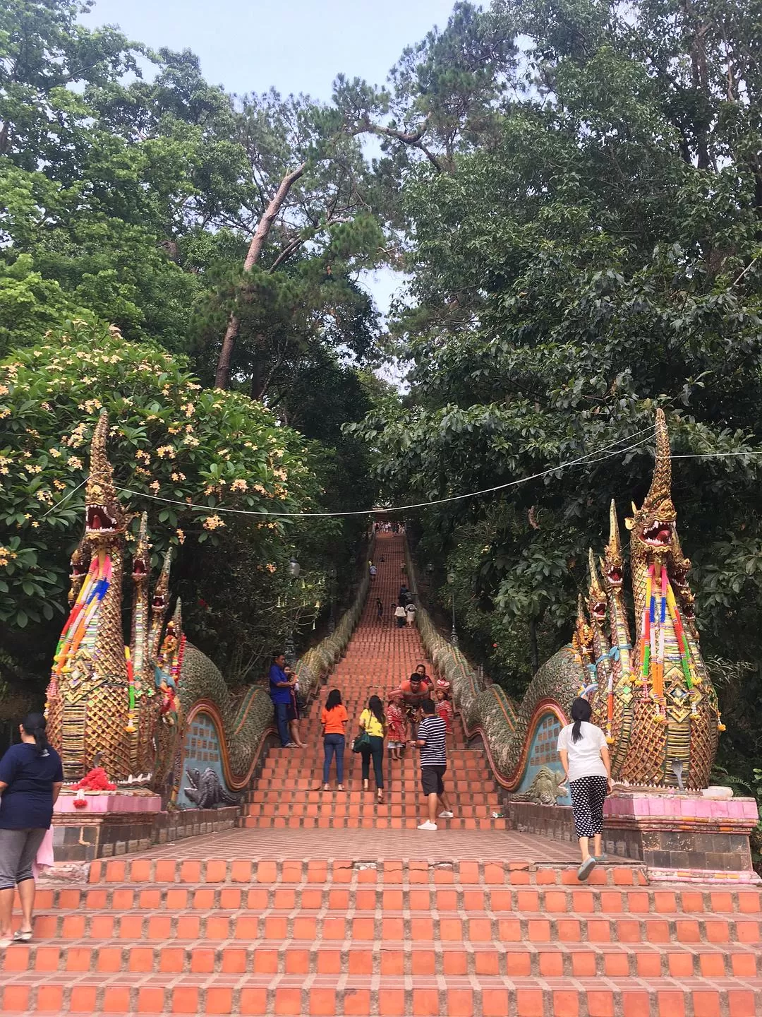 旅游推荐陈年旧事，我的东南亚大杂烩🉑（包括一些安全建议）