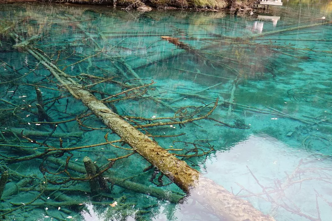 旅游推荐两人游：🤬绝美九寨沟