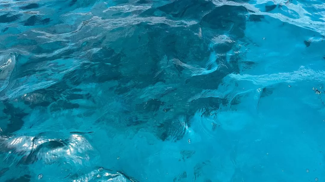 旅游推荐🏆国外游:该溜子型文青的冲绳+东京恋恋不舍十五天(还没写完)