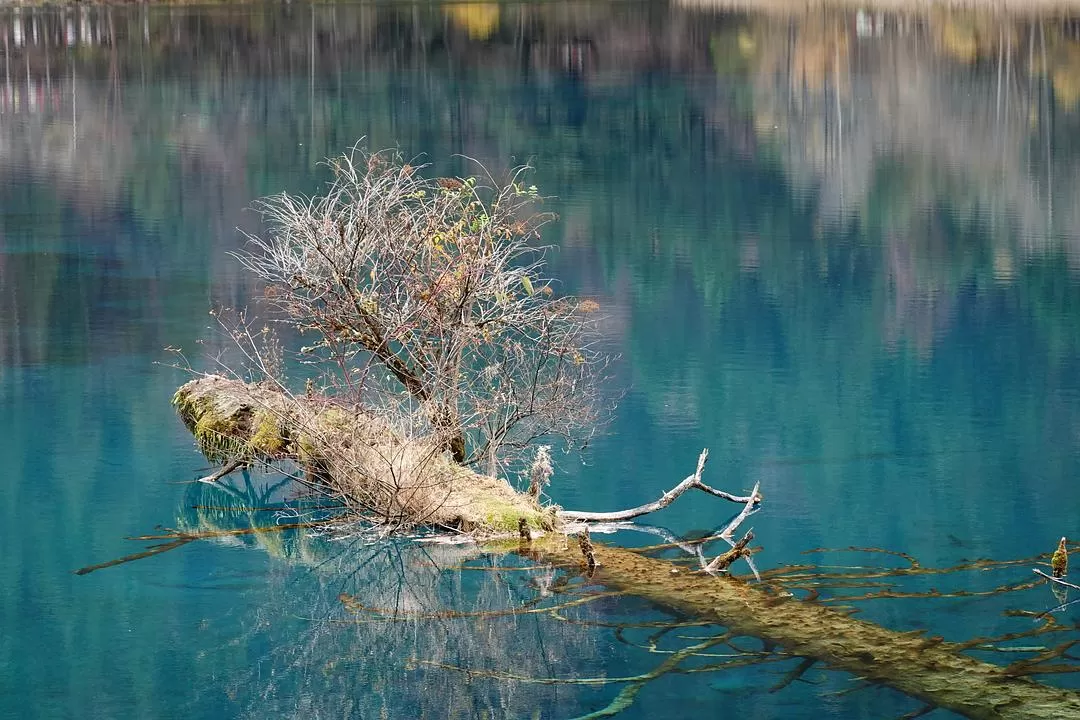 旅游推荐两人游：🤬绝美九寨沟