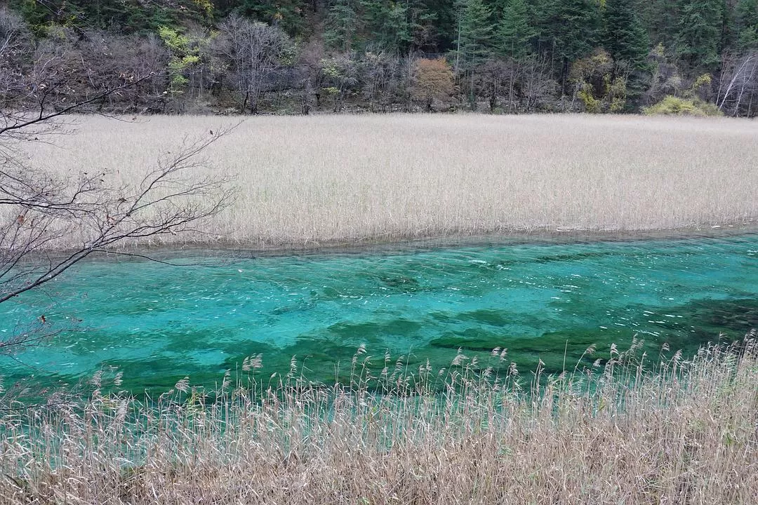 旅游推荐两人游：🤬绝美九寨沟