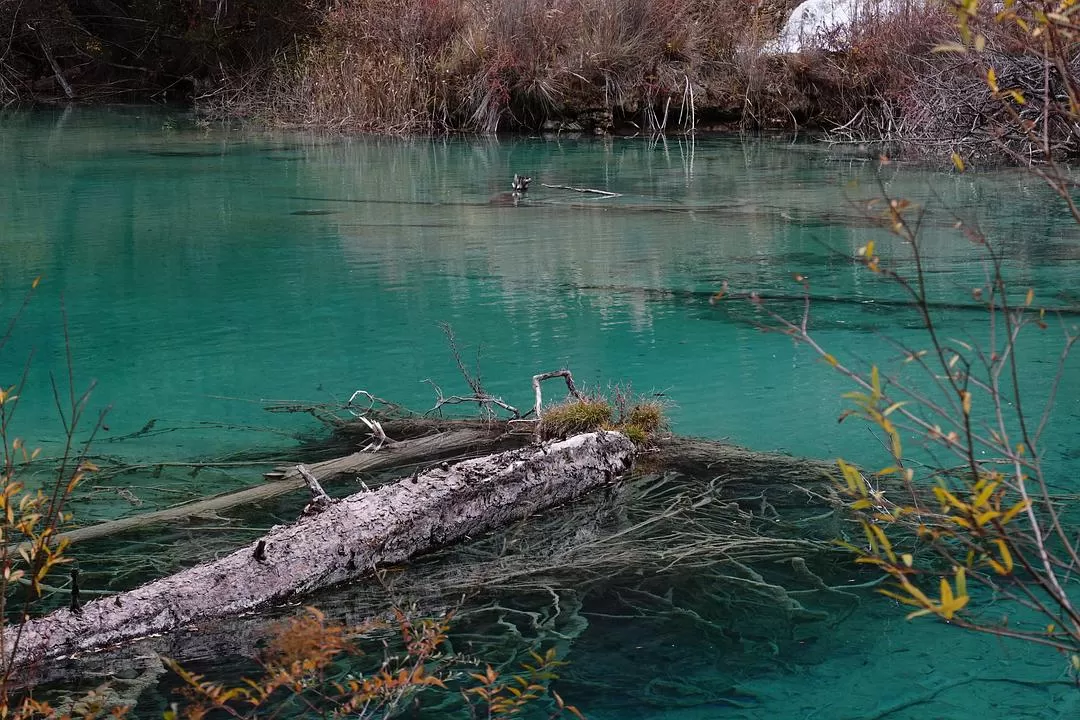 旅游推荐两人游：🤬绝美九寨沟