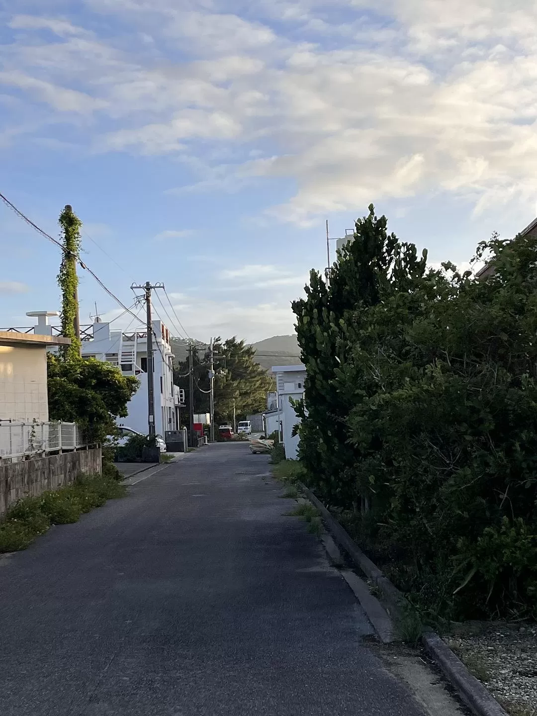 旅游推荐🏆国外游:该溜子型文青的冲绳+东京恋恋不舍十五天(还没写完)