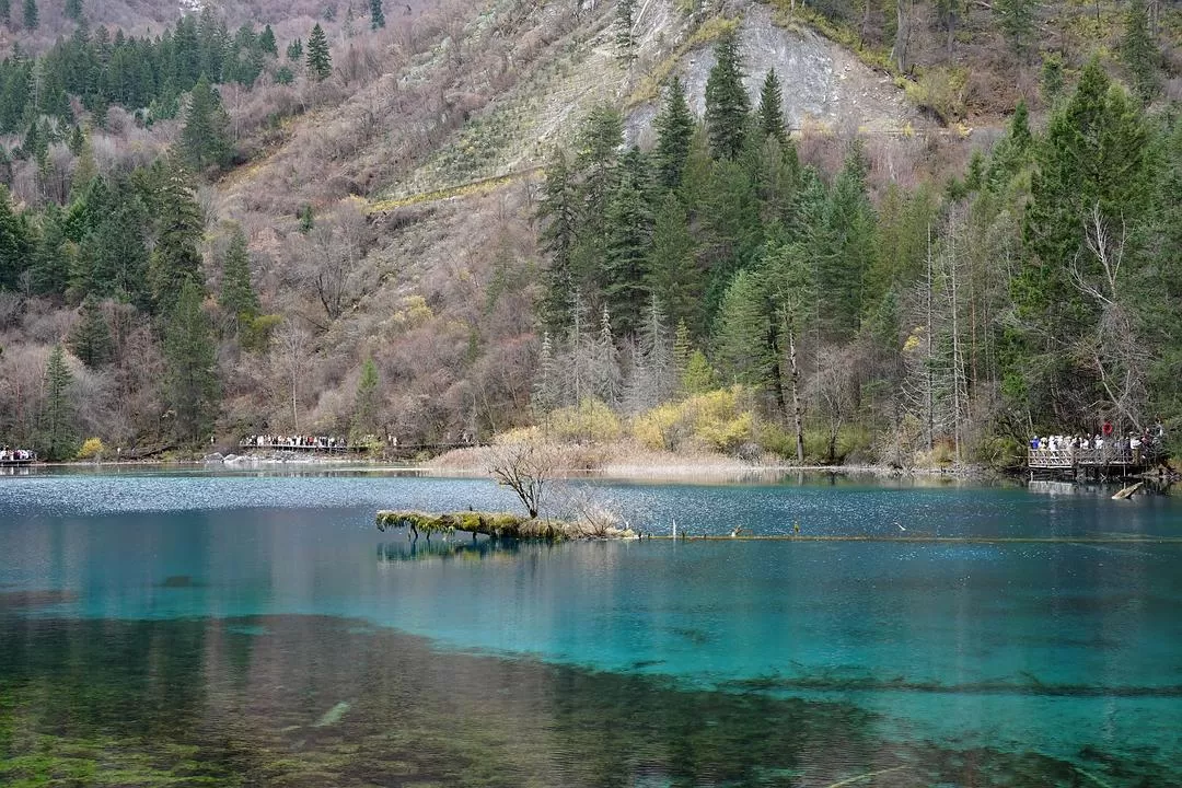 旅游推荐两人游：🤬绝美九寨沟