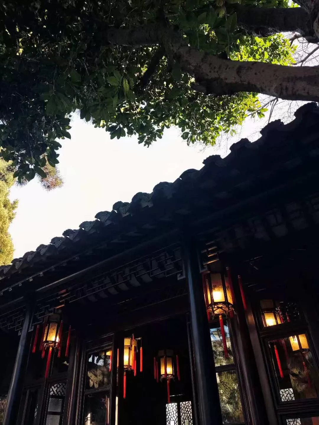 旅游推荐一🥈人游:寒假里的苏州三日游~~