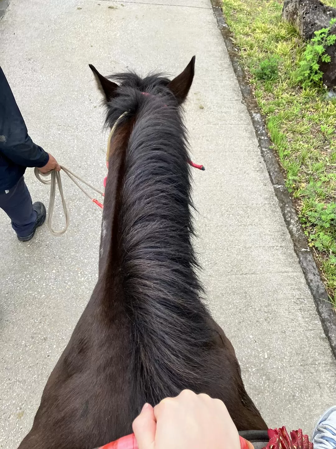 旅游推荐两人游：四天四夜芒市+腾冲悠闲吃💗逛之旅