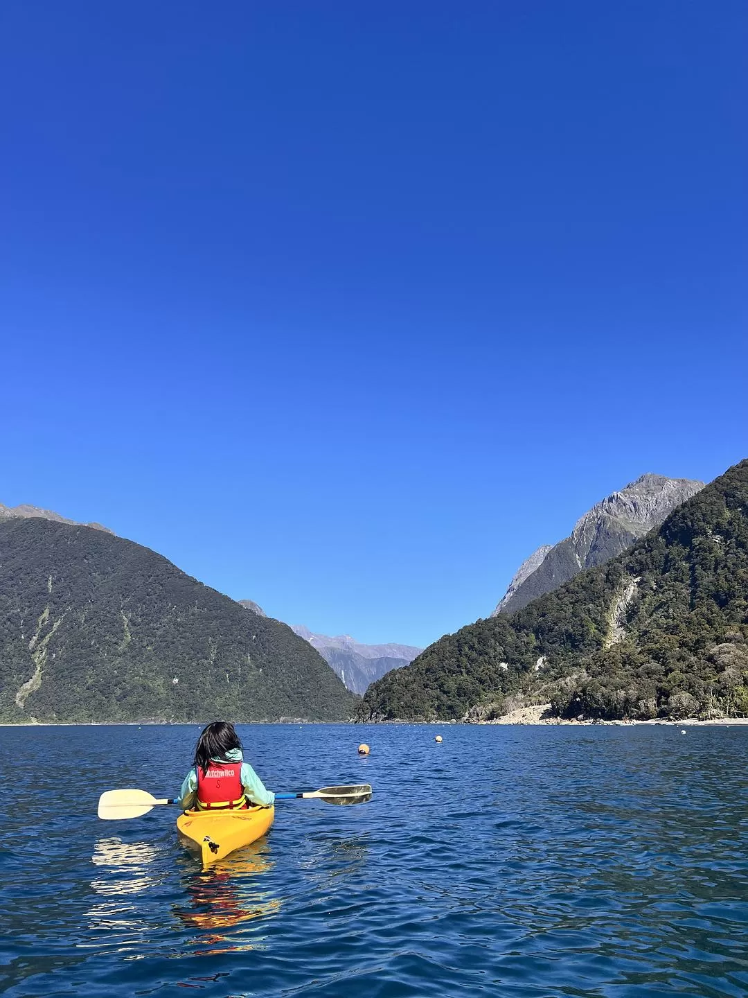 旅游推荐国外游：🇳🇿新西兰南岛自驾，雪🥇山草原森林湖泊峡湾星空大海