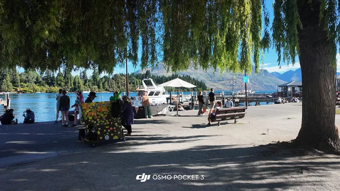 旅游推荐国外游：🇳🇿新西兰南岛自驾，雪🥇山草原森林湖泊峡湾星空大海