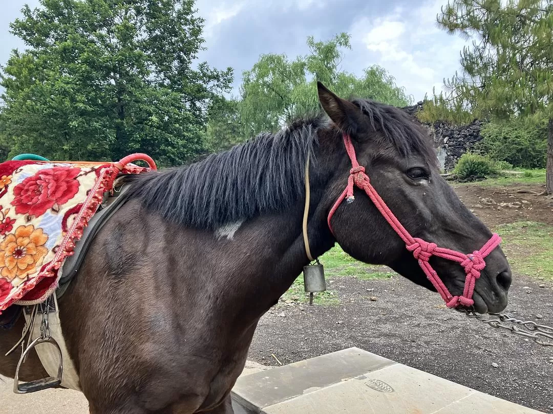 旅游推荐两人游：四天四夜芒市+腾冲悠闲吃💗逛之旅