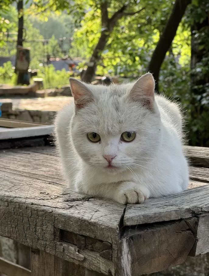 旅游推荐离职之后，我骑着烂摩托从北京到西藏、新疆……✨(1)