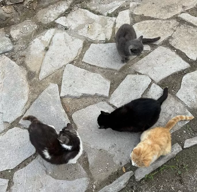 旅游推荐离职之后，我骑着烂摩托从北京到西藏、新疆……✨(1)