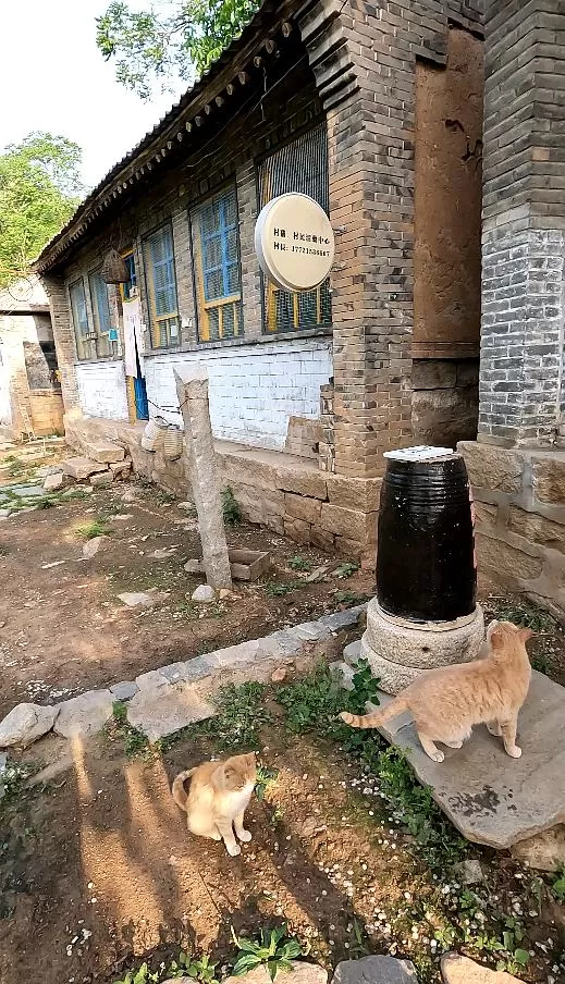 旅游推荐离职之后，我骑着烂摩托从北京到西藏、新疆……✨(1)