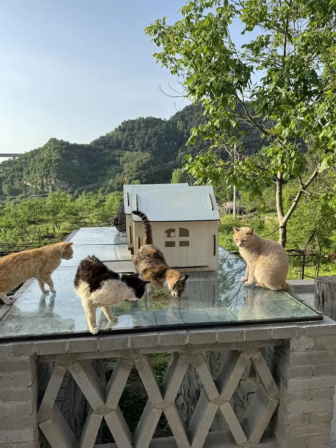 旅游推荐离职之后，我骑着烂摩托从北京到西藏、新疆……✨(1)