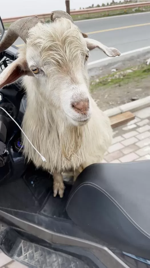 旅游推荐离职之后，我骑着烂摩托从北京到西藏、新疆……✨(1)