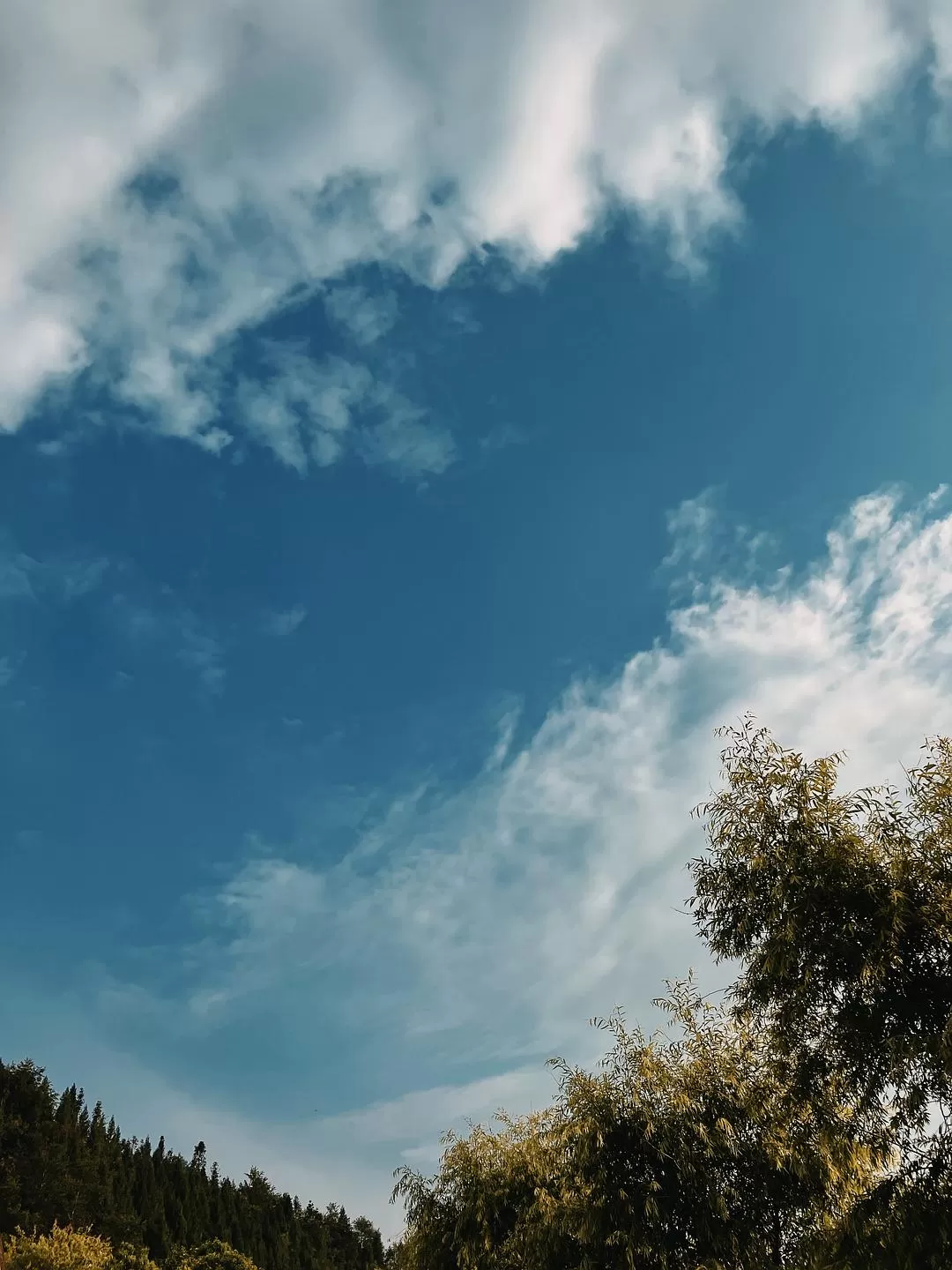 旅游推荐两人游:四天四夜芒市+腾冲悠闲吃💗逛之旅