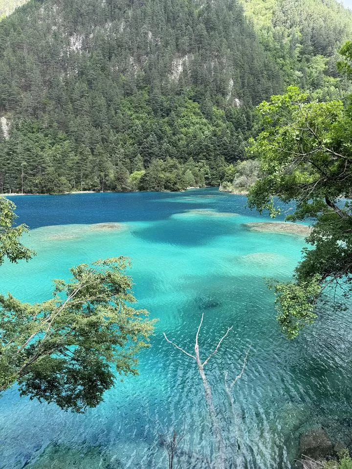 旅游推荐离职之后，我骑着烂摩托从北京到西藏、新疆……✨(1)